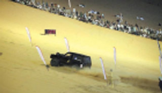 برعاية حمدان بن زايد.. مهرجان ليوا الدولي ينطلق 26 ديسمبر