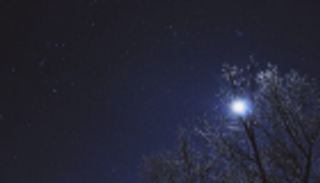 نجوم الشتاء أكثر سطوعا.. السر في موقع الأرض