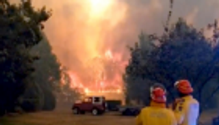 طوارئ لـ7 أيام بنيو ساوث ويلز الأسترالية بسبب الحرائق