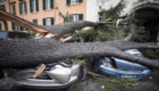 العواصف تقطع الكهرباء وتقتلع الأشجار في البلطيق