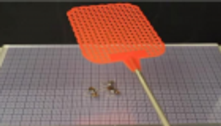 "الحشرة".. أول روبوت بعضلات صناعية وسرعة فائقة