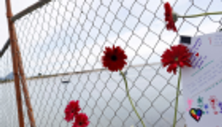 ارتفاع حصيلة ضحايا بركان نيوزيلندا إلى 19 قتيلا