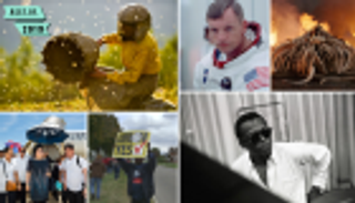 أفضل 10 أفلام وثائقية في 2019