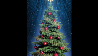 بيع 29.8 مليون شجرة في ألمانيا احتفالا بالكريسماس