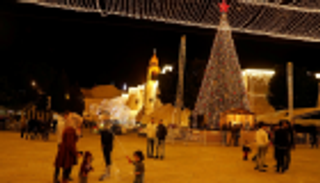 بيت لحم تتزين بشجرة "كريسماس" عملاقة في احتفالات عيد الميلاد