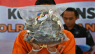 فيتنام تضبط طنين من العاج وحراشف "آكل النمل"