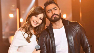 تامر حسني ونانسي عجرم يحييان حفلات رأس السنة في الإمارات - أرشيفية