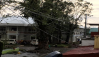 مصرع 16 شخصا على الأقل جراء إعصار فانفون بالفلبين