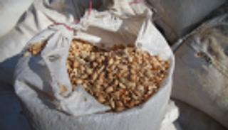 السوريون يواجهون البرد القارس بقشور الفستق 