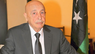 المستشار عقيلة صالح رئيس البرلمان الليبي - أرشيفية 