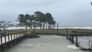 "ساراي" يودي بحياة شخص ويجلي 2500 في فيجي