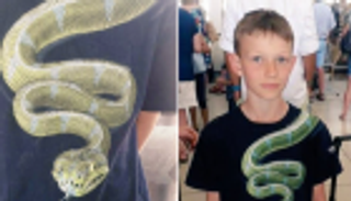 رسمة على قميص طفل تمنعه من صعود الطائرة