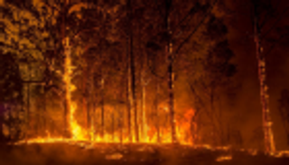 مصرع رجل إطفاء متطوع في حرائق أستراليا