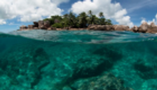 قرش يهاجم سائحة فرنسية في جزر سيشل