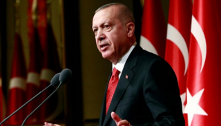 الرئيس التركي رجب طيب أردوغان - أرشيفية