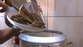 إحدى مراحل صناعة البن