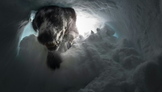 انهيار ثلجي يطمر متزلجين في جبال الألب الفرنسية