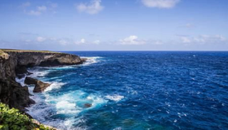 ألوان المحيطات ستصبح أكثر قتامة بحلول عام 2100