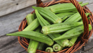 البامية ـ صورة أرشيفية