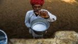 بالصور.. منتجات حليب الإبل في الهند.. شوكولاتة وصابون ومستحضرات تجميل