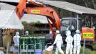 إعدام 15 ألف خنزير في اليابان إثر انتشار الحمى في 5 مقاطعات