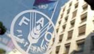 فاو: ارتفاع أسعار الغذاء العالمية في يناير لقوة الطلب الأوروبي