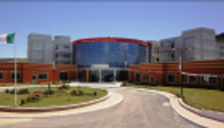 الجزائر تسجل 20 ألف وفاة بالسرطان سنويا.. ومحاولات لإنتاج أدوية محلية