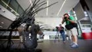 بالصور.. اكتشاف ديناصور جديد برقبة ذات قرون مدببة