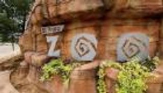 "صراصير الحب".. طريقة غير تقليدية للاحتفال بالفلانتين