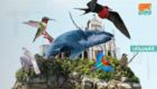 إنفوجراف: كوستاريكا.. أكثر بلدان العالم تنوعا بيولوجيا