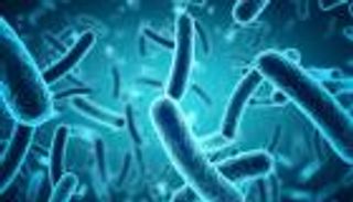 دراسة تكشف كيفية تحول بعض الأدوية إلى مركبات ضارة