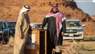 محمد بن سلمان يطلق محمية شرعان الطبيعية في محافظة العلا