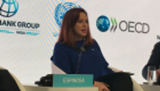 رئيس جمعية الأمم المتحدة: التنمية المستدامة أساس النجاح الاقتصادي