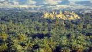 بالصور.. معنى جديد للحياة في واحة سيوة المصرية