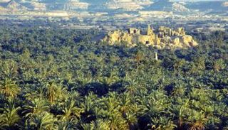 في واحة سيوة.. اكتشف معنى جديدا للحياة 