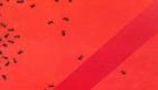 بلا حد.. معرض تشكيلي فلسطيني في بيت لحم لتجاوز كل الحدود