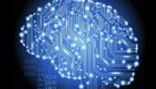 الذكاء الاصطناعي يدخل عالم البحار ويتعرف على "المنخربات"