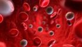 دراسة تكشف عن إكسير الشباب.. السر في خلايا الدم