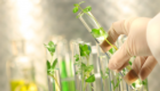 قمة الحكومات تقدم 5 تكنولوجيات زراعية للأمن الغذائي