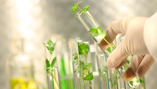 قمة الحكومات تصدر تقريرا يقدم 5 تكنولوجيات زراعية للأمن الغذائي