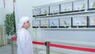 "أجمل طائر حب".. مسابقة تجمع عشاق الطيور في الإمارات
