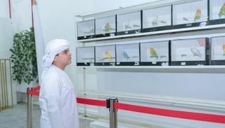 مسابقة "أجمل طائر حب"