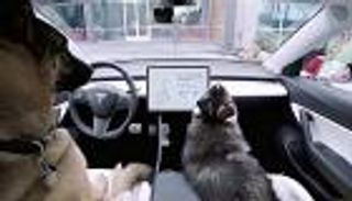 بالفيديو.. سيارات تسلا تعتني بالكلاب