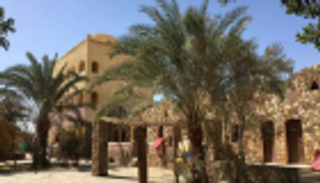 الواحات البحرية في مصر.. سحر الطبيعة في قلب الصحراء