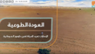 العودة الطوعية.. الإمارات تعيد الحياة لقرى دارفور السودانية