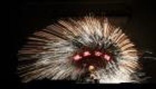 بالصور.. أنوار تضيء سماء المدينة المحرمة في بكين للمرة الأولى