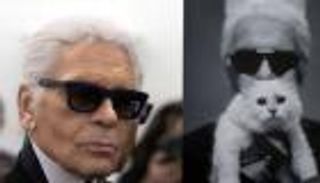 قطة مصمم الأزياء العالمي كارل لاجرفيلد ترث جزءا من ثروته