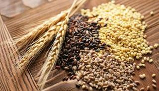 تناول الحبوب الكاملة يقلل الإصابة بسرطان الكبد