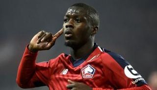 نيكولا بيبي