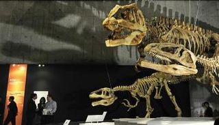 دراستان تعيدان إحياء الجدل حول طريقة انقراض الديناصورات - صورة أرشيفية